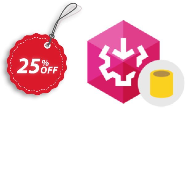 SSIS Integration Database Bundle Make4fun promotion codes