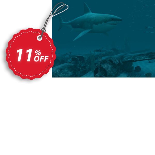 3PlaneSoft Sharks - Great White 3D Screensaver Coupon, discount 3PlaneSoft Sharks - Great White 3D Screensaver Coupon. Promotion: 3PlaneSoft Sharks - Great White 3D Screensaver offer discount