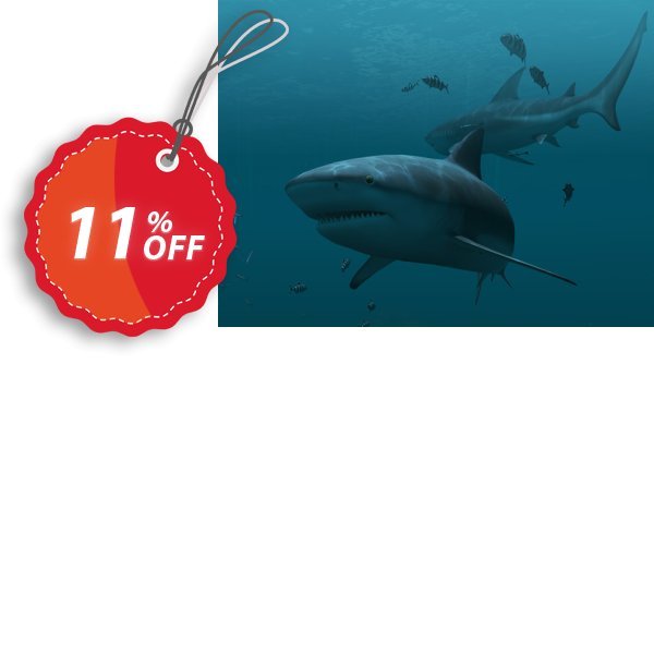 3PlaneSoft Sharks 3D Screensaver Coupon, discount 3PlaneSoft Sharks 3D Screensaver Coupon. Promotion: 3PlaneSoft Sharks 3D Screensaver offer discount