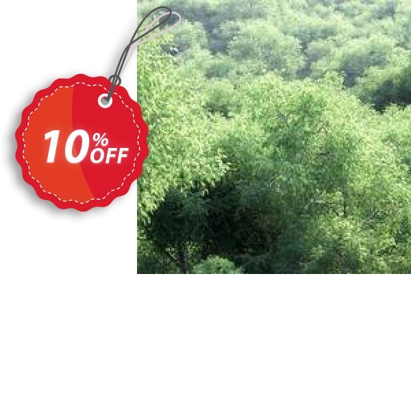 The3dGarden Summer Collection Coupon, discount The3dGarden Summer Collection Vol.01 Amazing deals code 2025. Promotion: Amazing deals code of The3dGarden Summer Collection Vol.01 2024