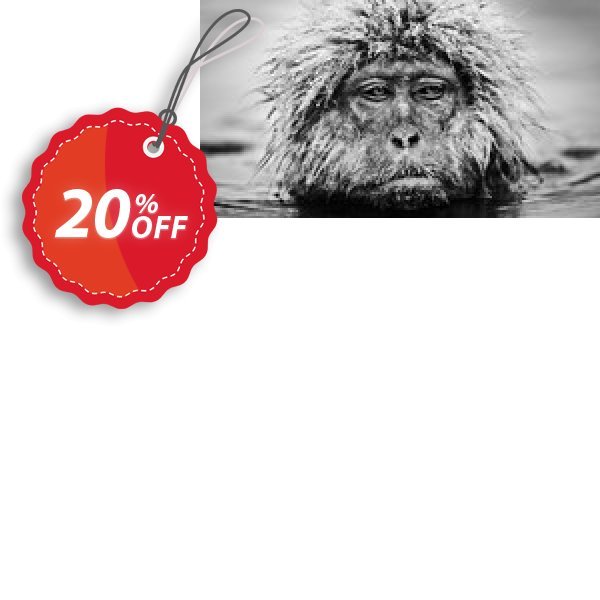 Yeti Forex Robot UNLIMITED Plan Coupon, discount Yeti Forex Robot UNLIMITED License Excellent promotions code 2025. Promotion: Excellent promotions code of Yeti Forex Robot UNLIMITED License 2024