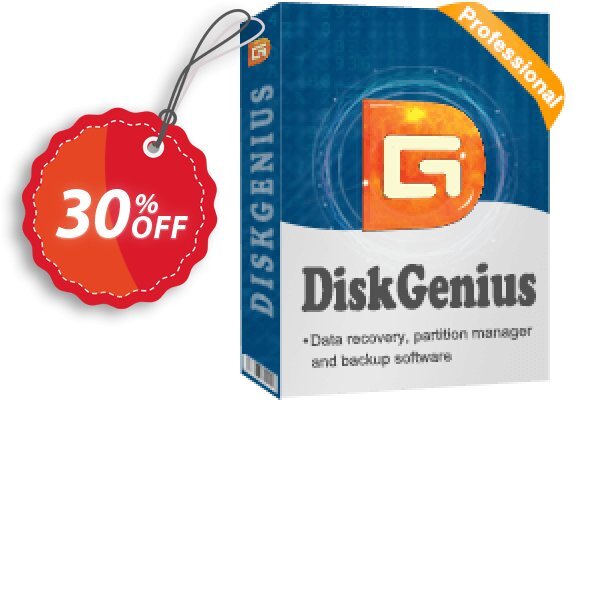 DiskGenius Professional