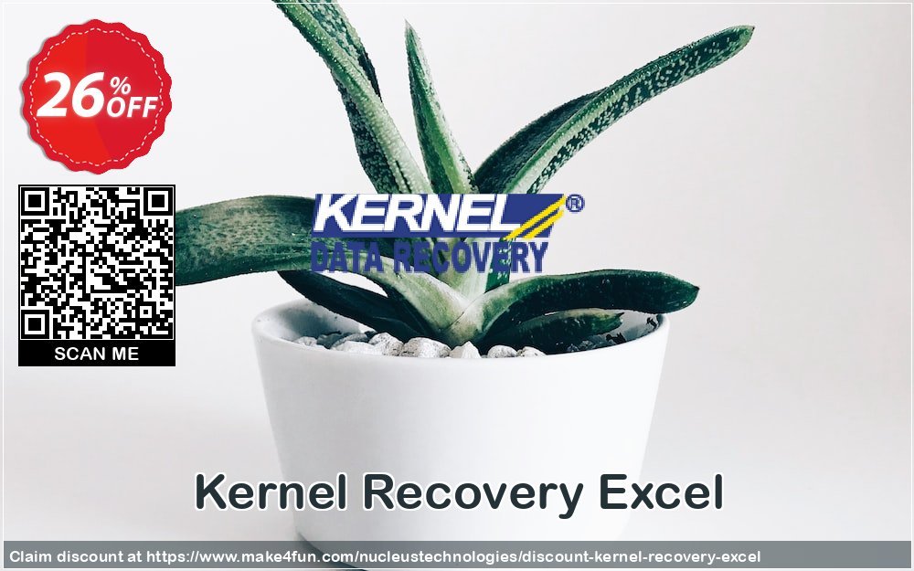 Kernel Recovery Excel coupon codes for May Celebrations with 30% OFF, May 2025 - Make4fun
