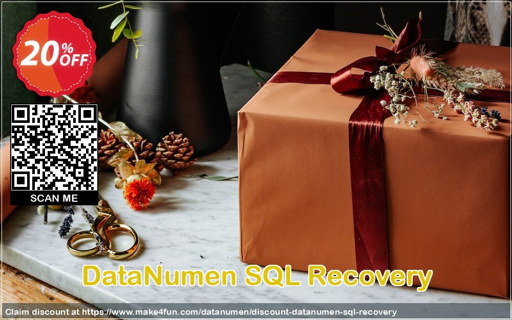 Datanumen sql recovery coupon codes for Mom's Day with 25% OFF, May 2024 - Make4fun