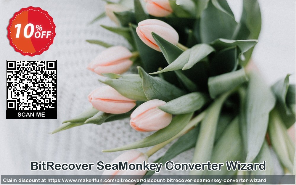 Bitrecover Seamonkey Converter Wizard coupon codes for Mom's Day with 15% OFF, May 2025 - Make4fun