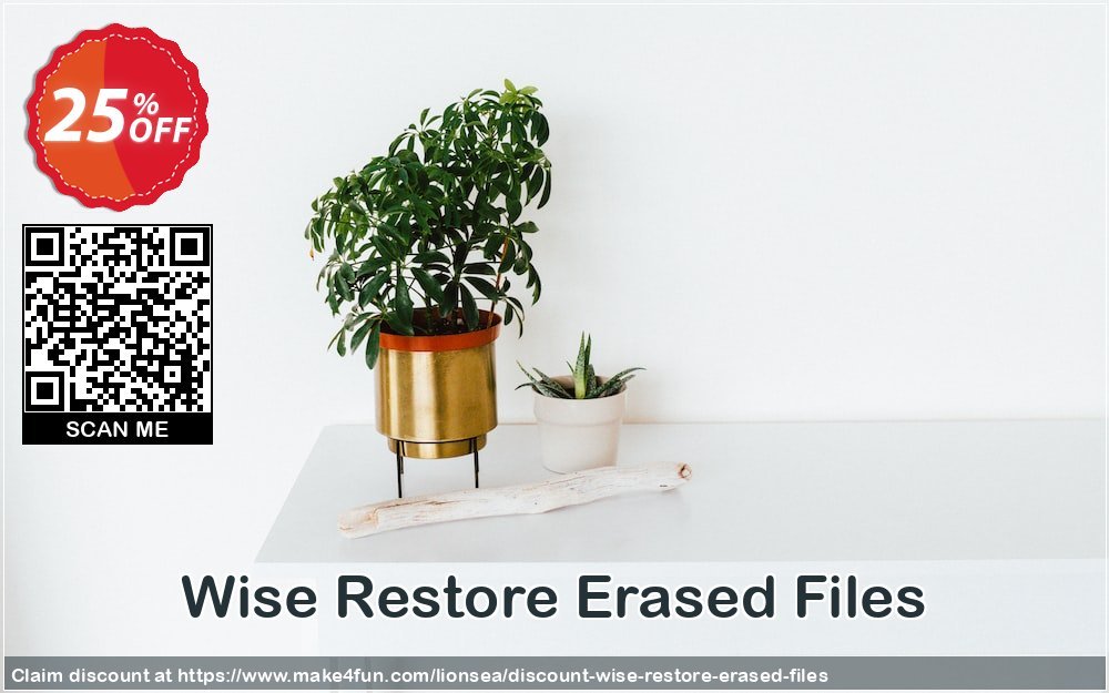 Wise Restore Erased Files coupon codes for Mom's Day with 30% OFF, May 2025 - Make4fun