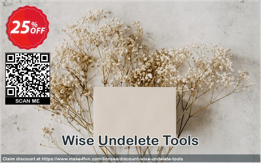 Wise Undelete Tools coupon codes for Friendship Fiesta with 30% OFF, July 2025 - Make4fun