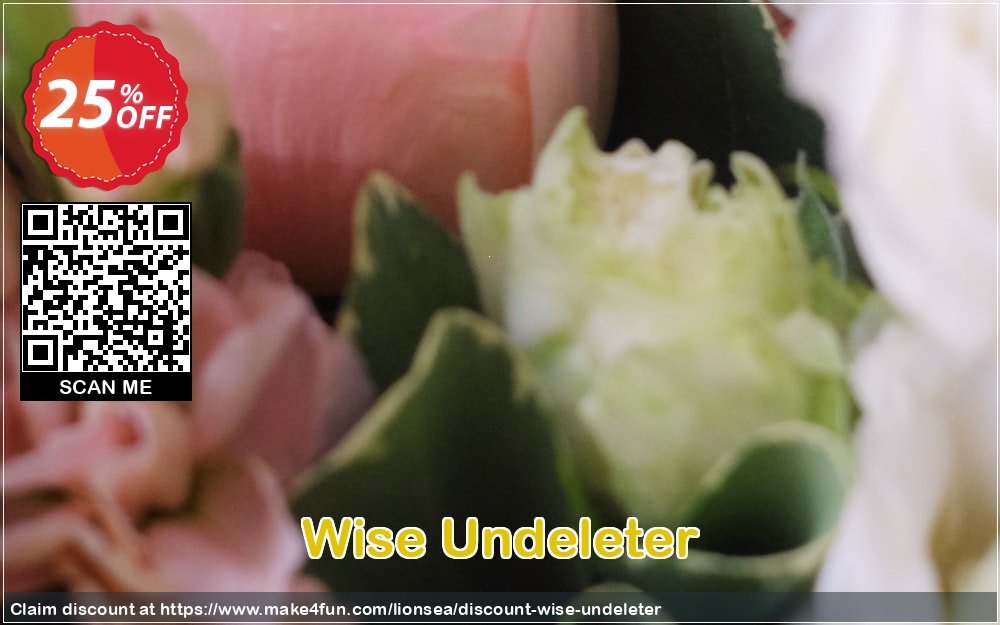 Wise Undeleter coupon codes for #mothersday with 30% OFF, May 2025 - Make4fun