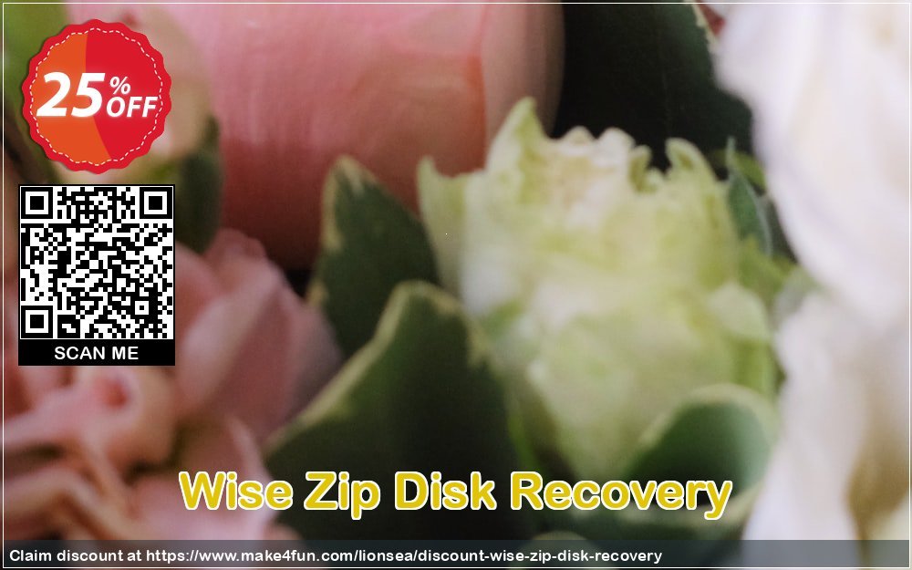 Wise Zip Disk Recovery coupon codes for Mom's Day with 30% OFF, May 2025 - Make4fun