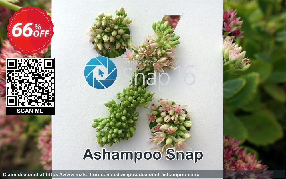 Ashampoo Snap coupon codes for Mom's Day with 70% OFF, May 2025 - Make4fun